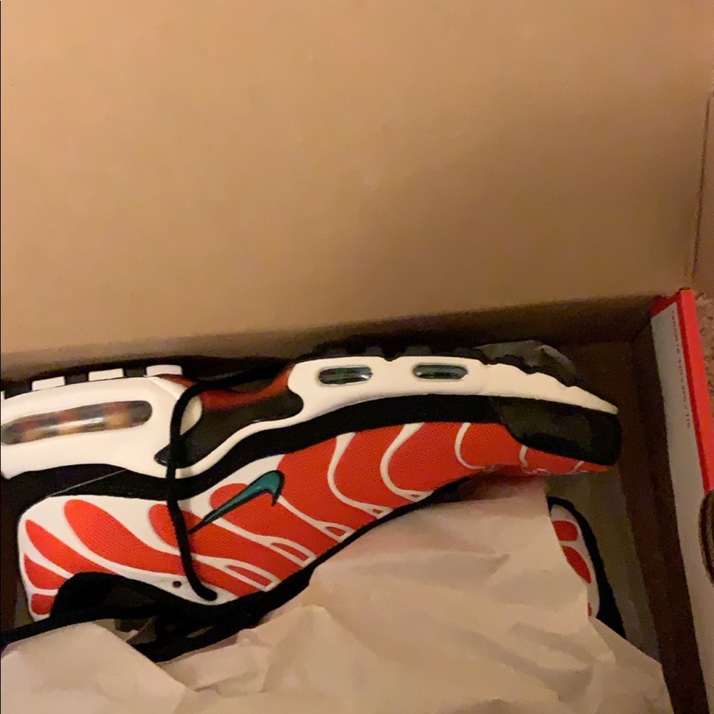 Nike air max plus
